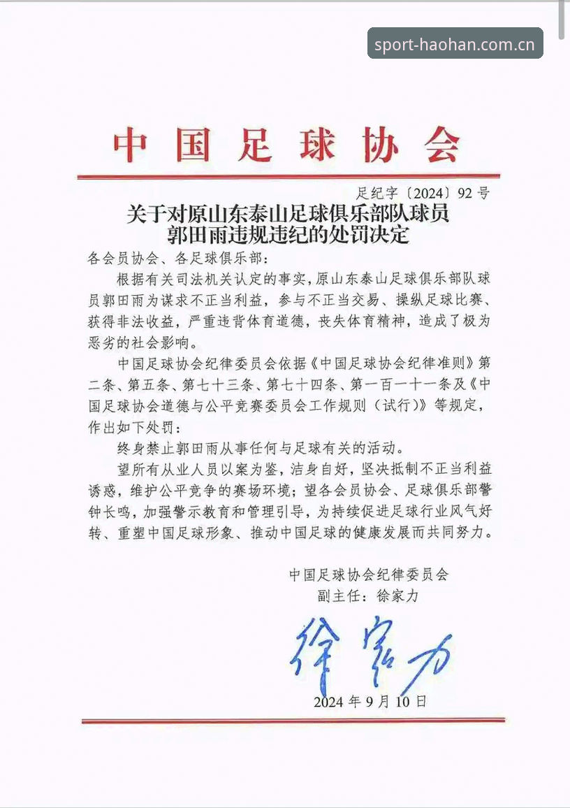 足协第三批禁足名单全面解析：65人受罚背后的中国足球治理逻辑